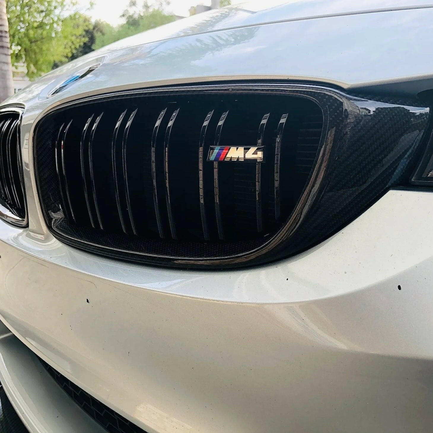 Carbon Fiber Front Grill - F80 M3 | F82/F83 M4.