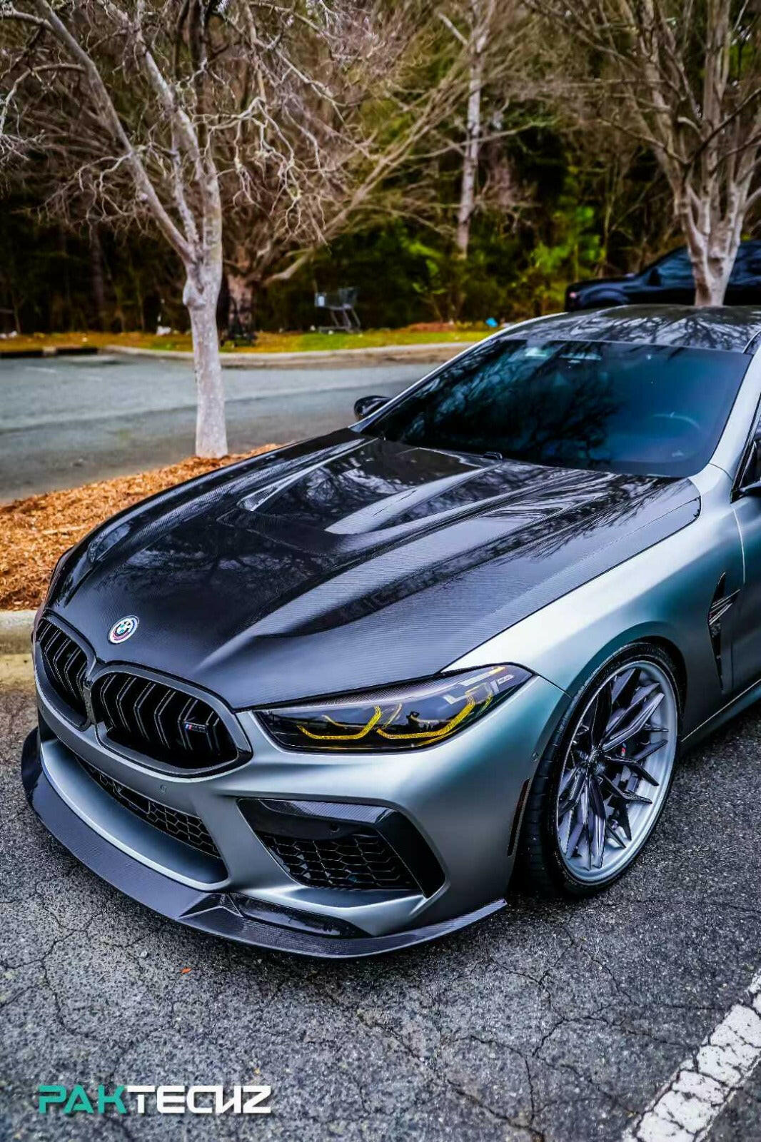 Paktechz Carbon Fiber Hood - F91/F92/F93 M8.
