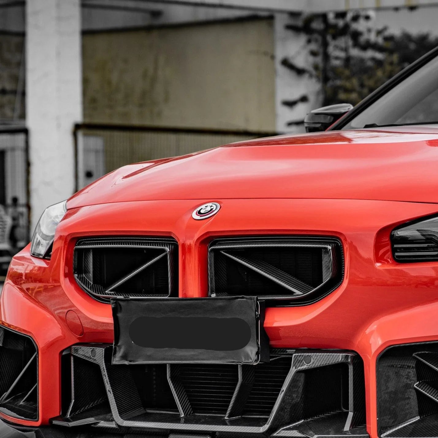 SQ Style Carbon Fiber Grill - G87 M2.