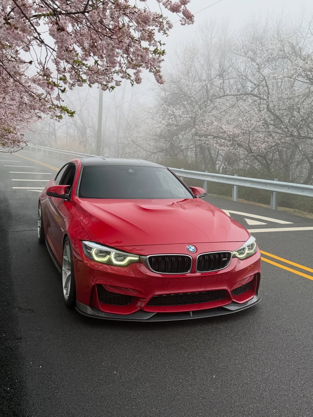 BMW F82 M4