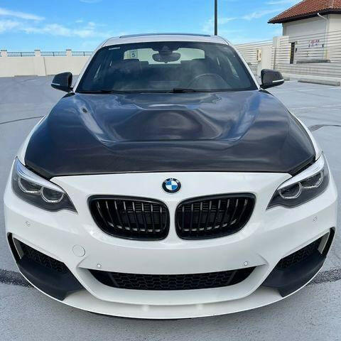 GTS Style Carbon Fiber Hood - F22 2 Series.