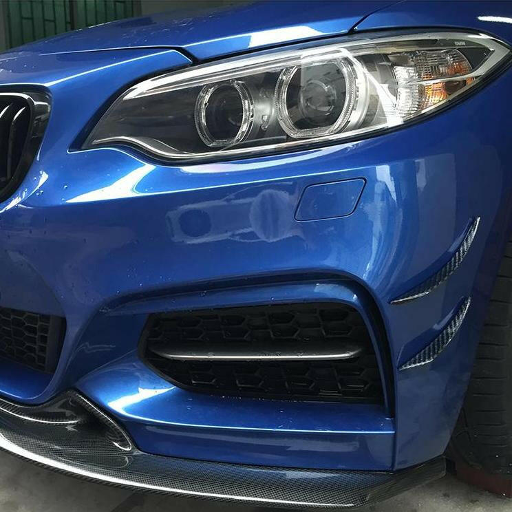 Carbon Fiber Front Canards - F22 2 Series.