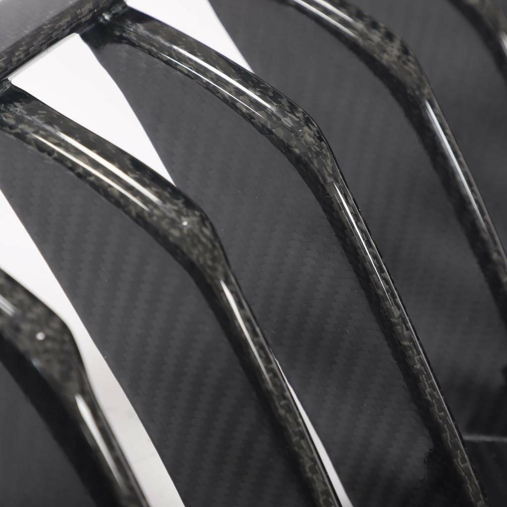 Carbon Fiber Single Slat Front Grill - F91/F92/F93 M8.