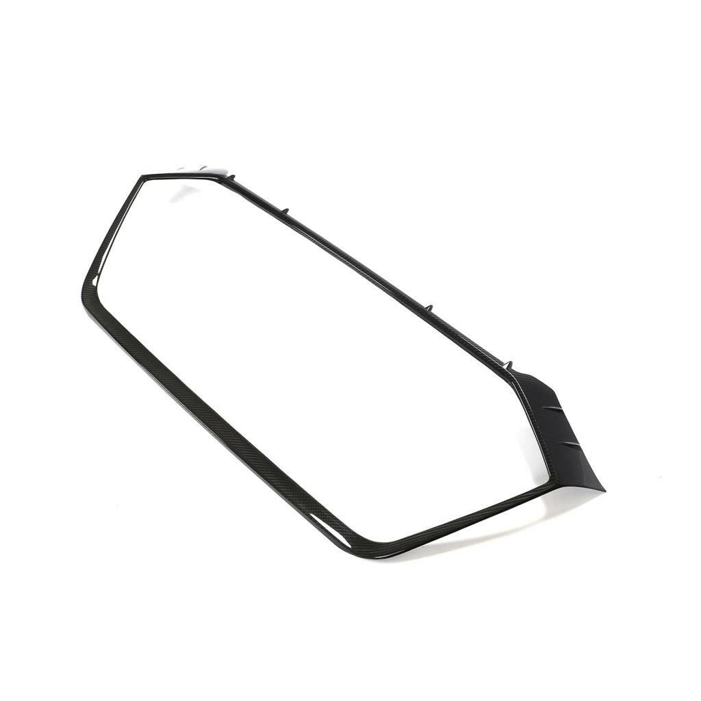 Euro Auto Style Carbon Fiber Grill - Audi RS6/RS7 C8.