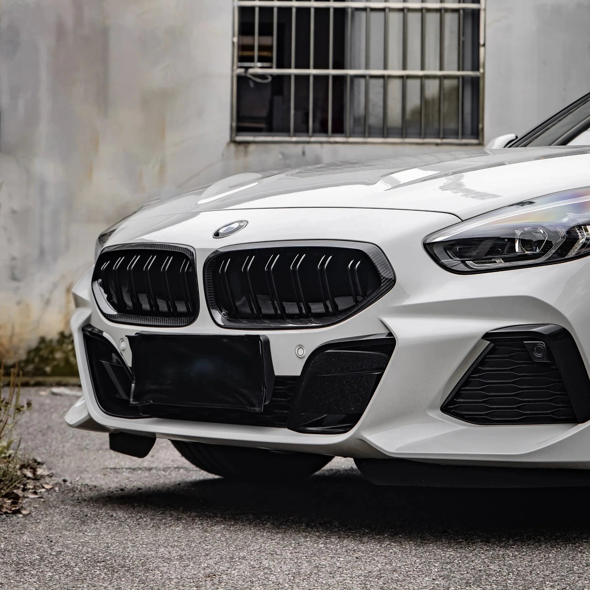 Carbon Fiber Grill - G29 Z4 - Euro Auto Design