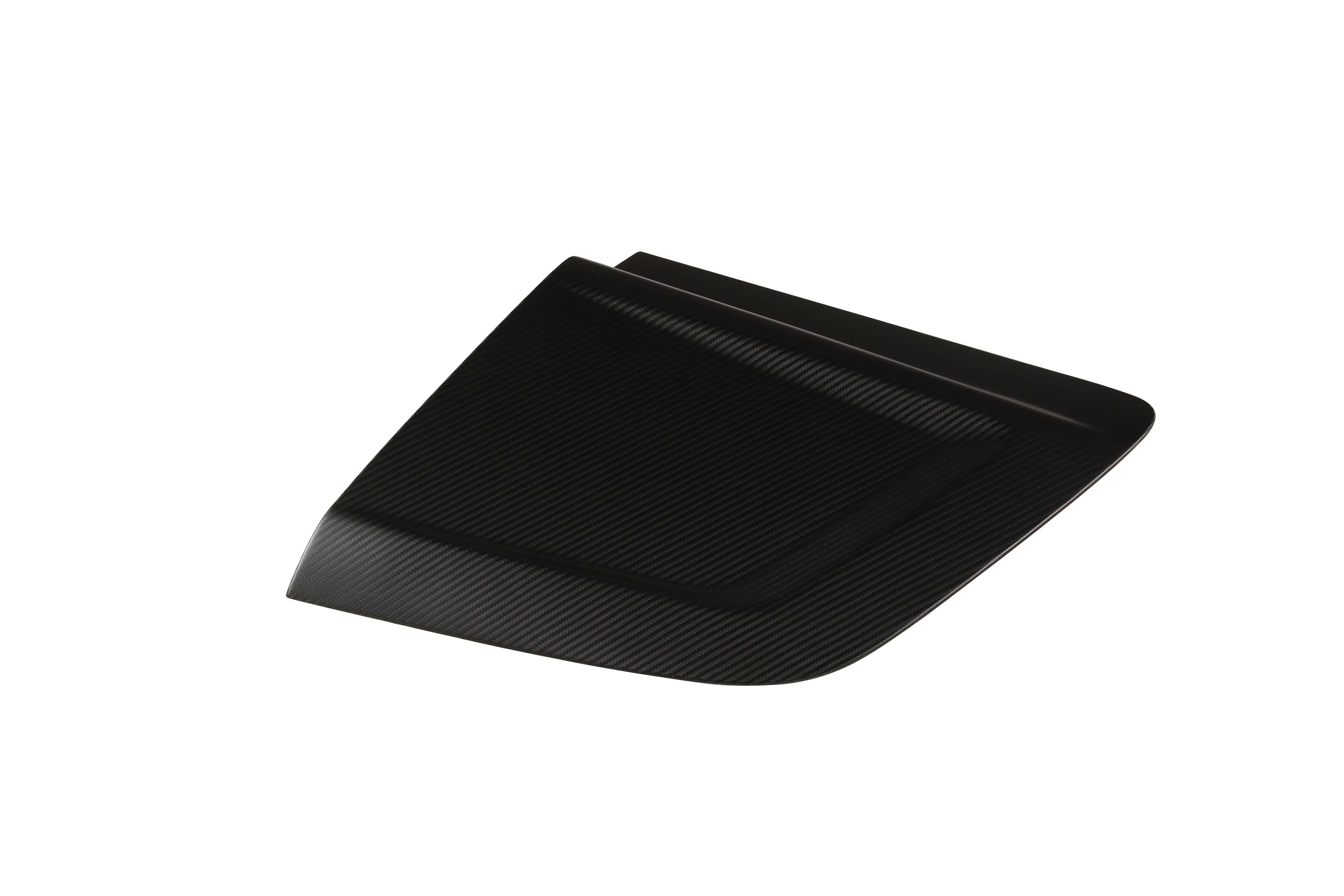 Paktechz Carbon Fiber Door Panel Blades - Audi R8 (2019-2024).