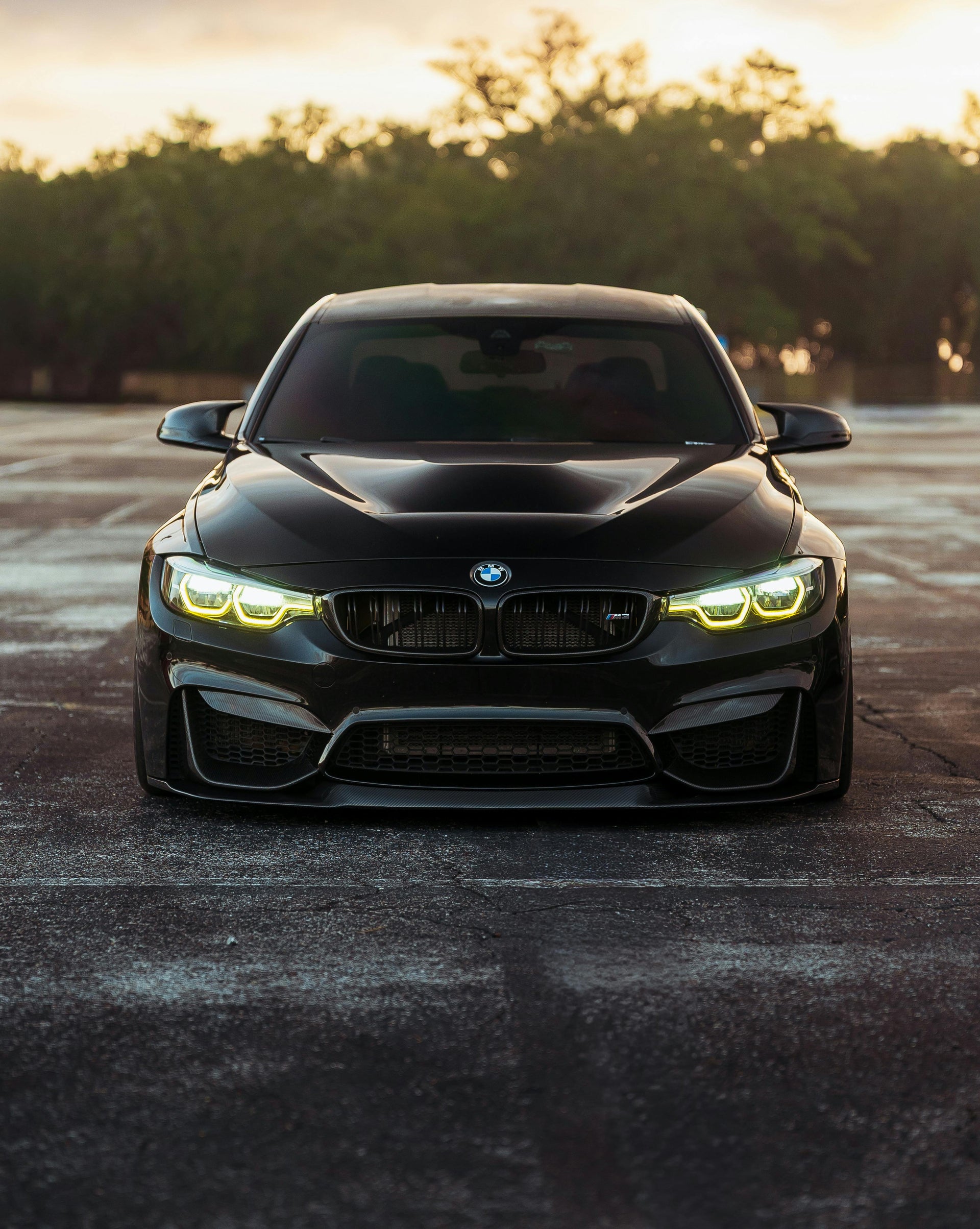F8X M3/M4